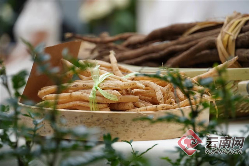 云南省文化和旅游厅