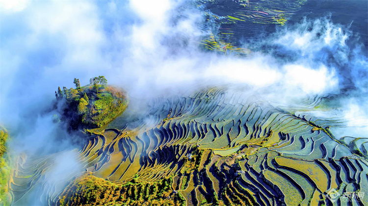 云南省文化和旅游厅