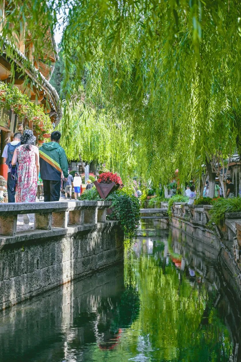 云南省文化和旅游厅