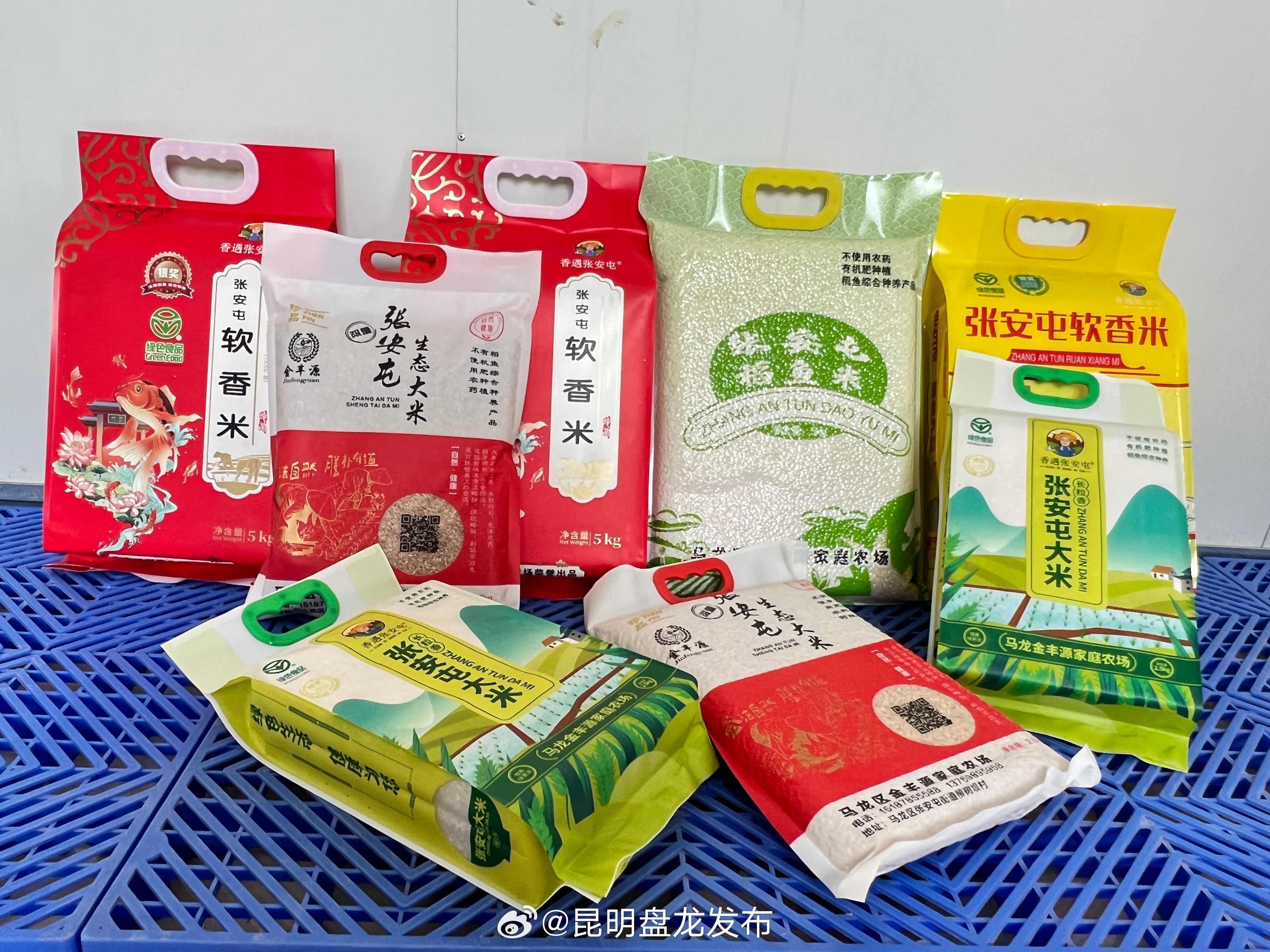 张安屯街道：拓宽农民增收致富渠道，谱写共同富裕新篇章