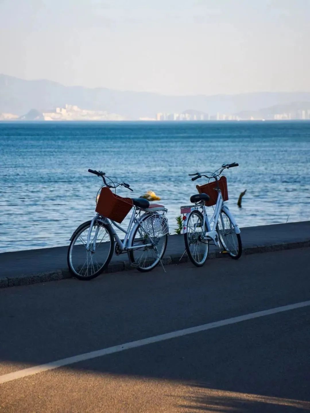 云南省文化和旅游厅