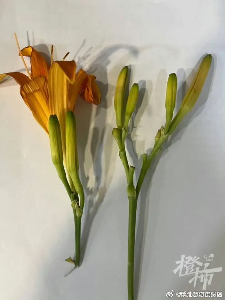 夫妻双双中毒！医生：没有特效解毒剂