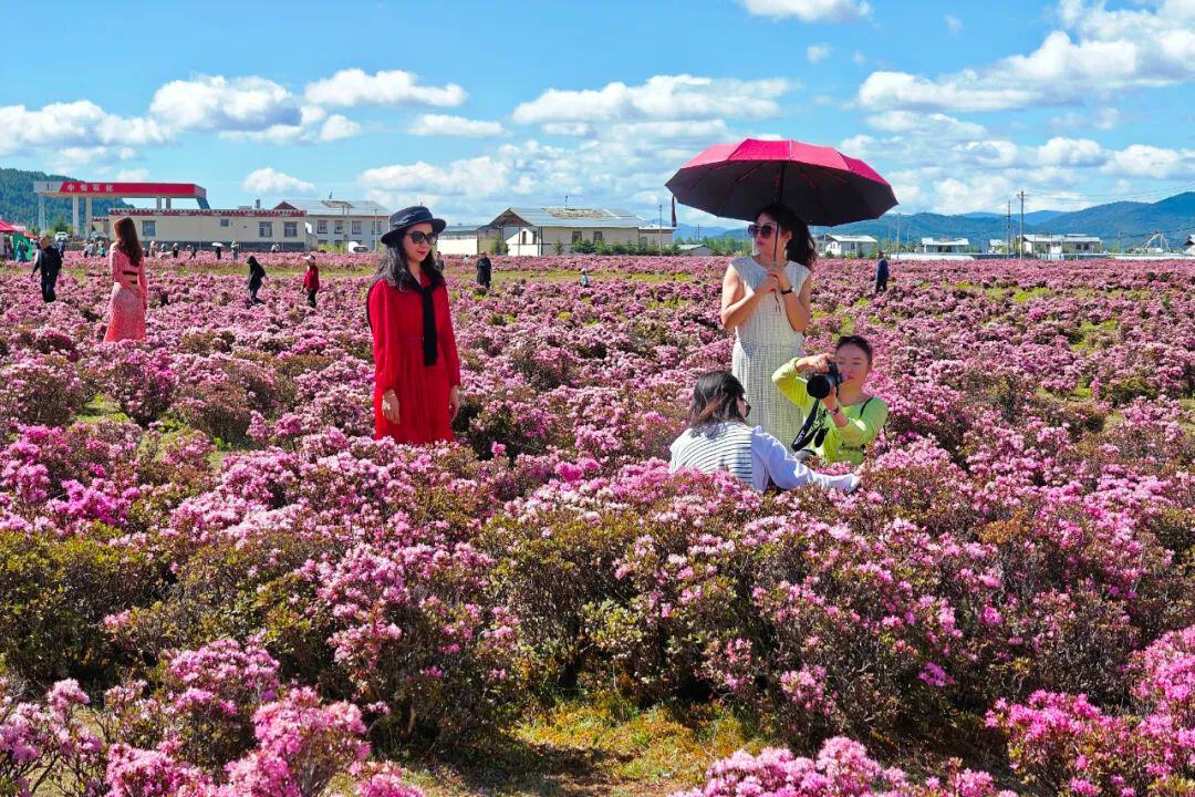 云南省文化和旅游厅