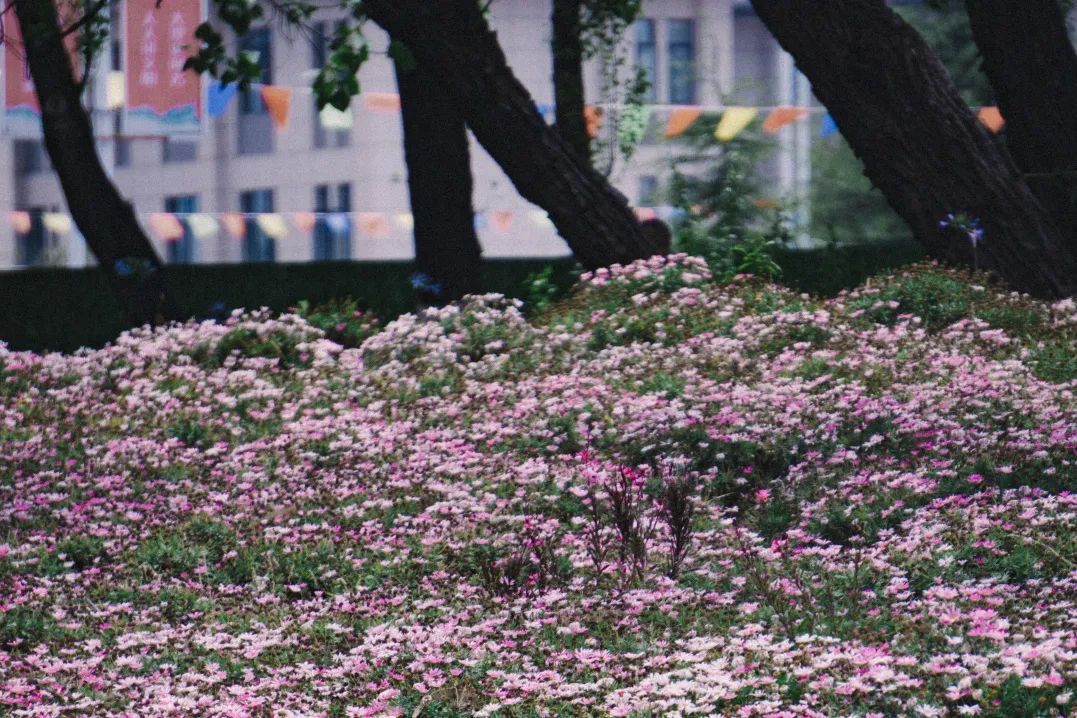 云南省文化和旅游厅