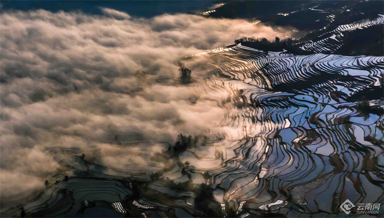 云南省文化和旅游厅