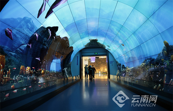 云南省文化和旅游厅