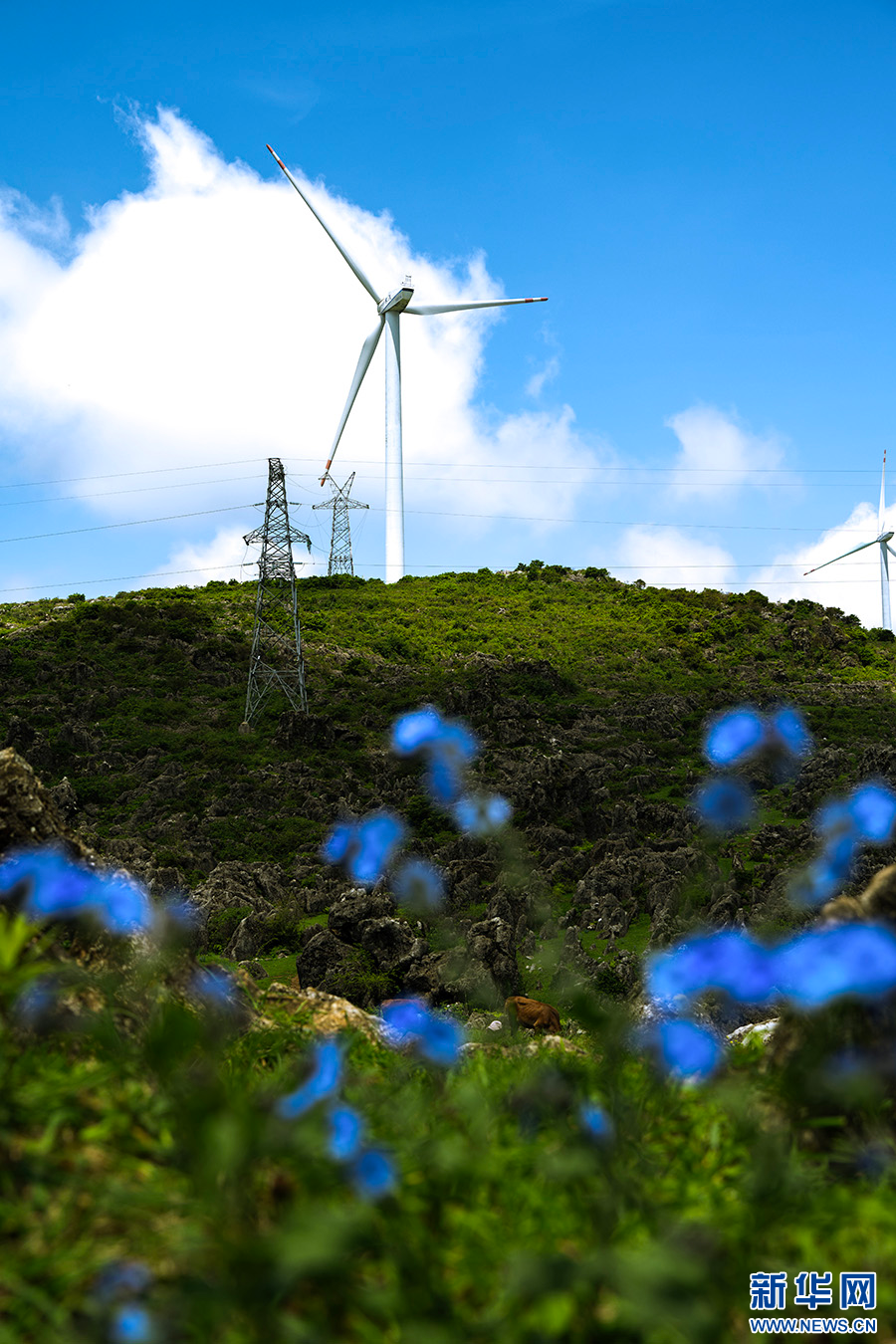 云南省文化和旅游厅