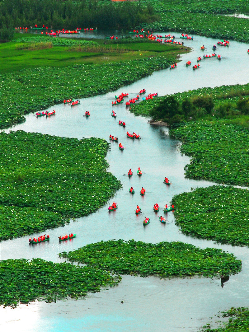 云南省文化和旅游厅