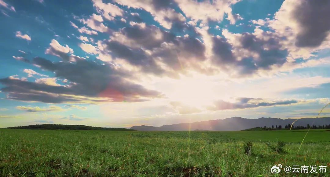 云南发布