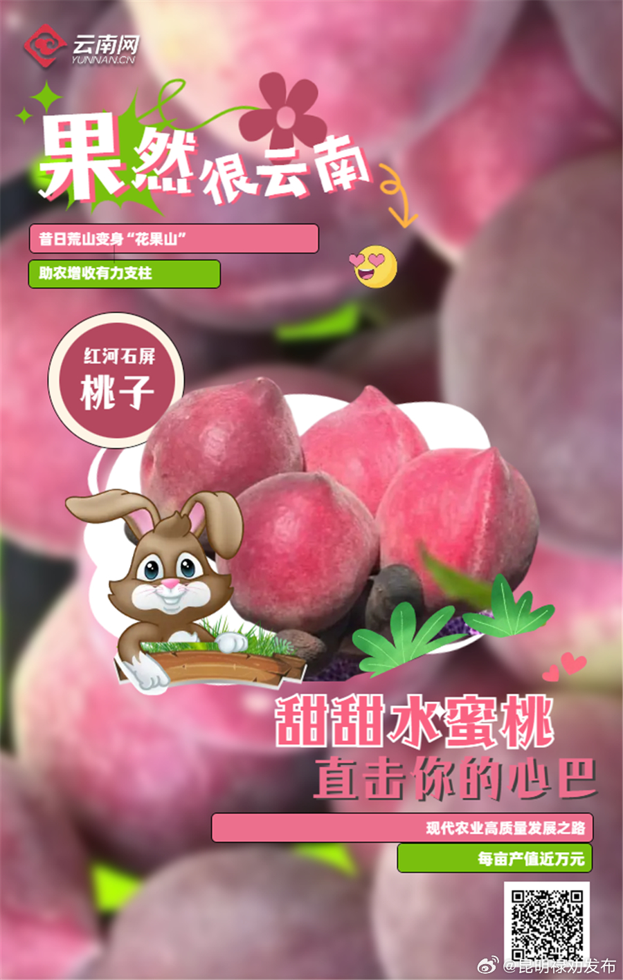 “果”然很云南｜甜甜水蜜桃 直击你的心巴