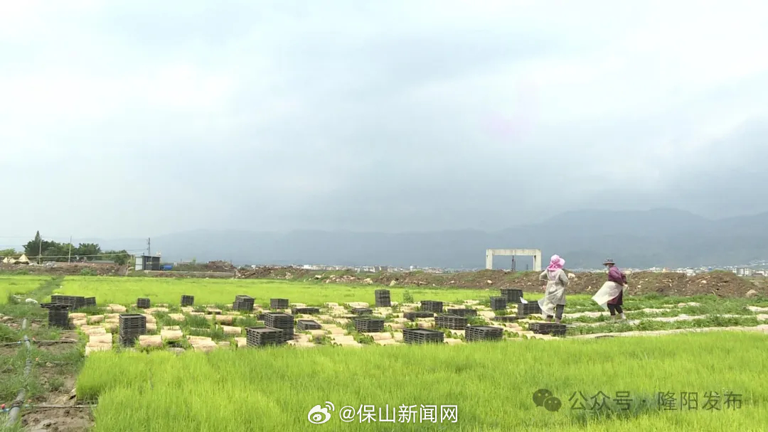 保山新闻网