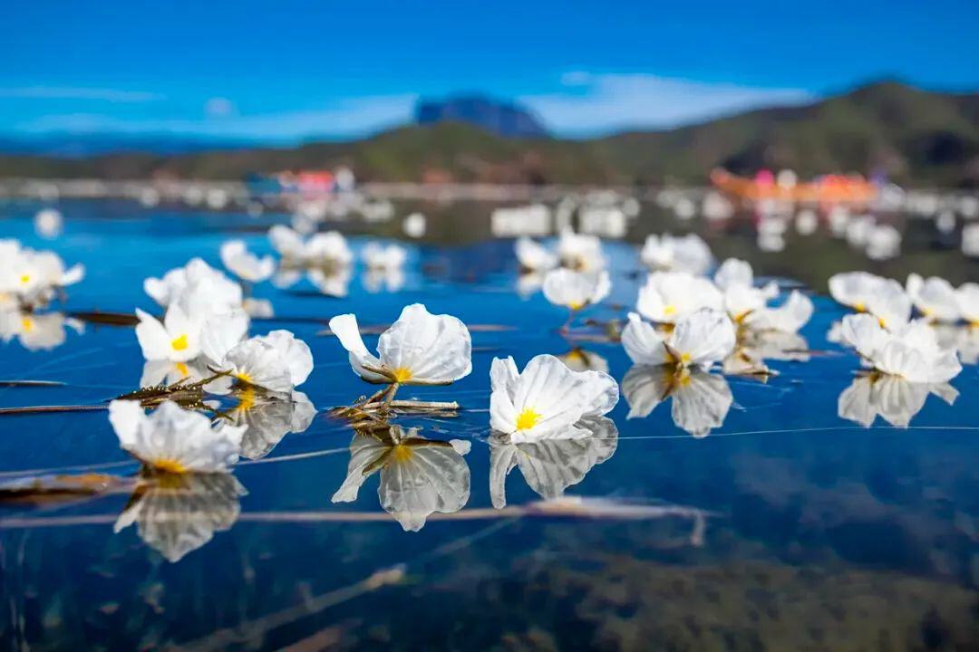 云南省文化和旅游厅