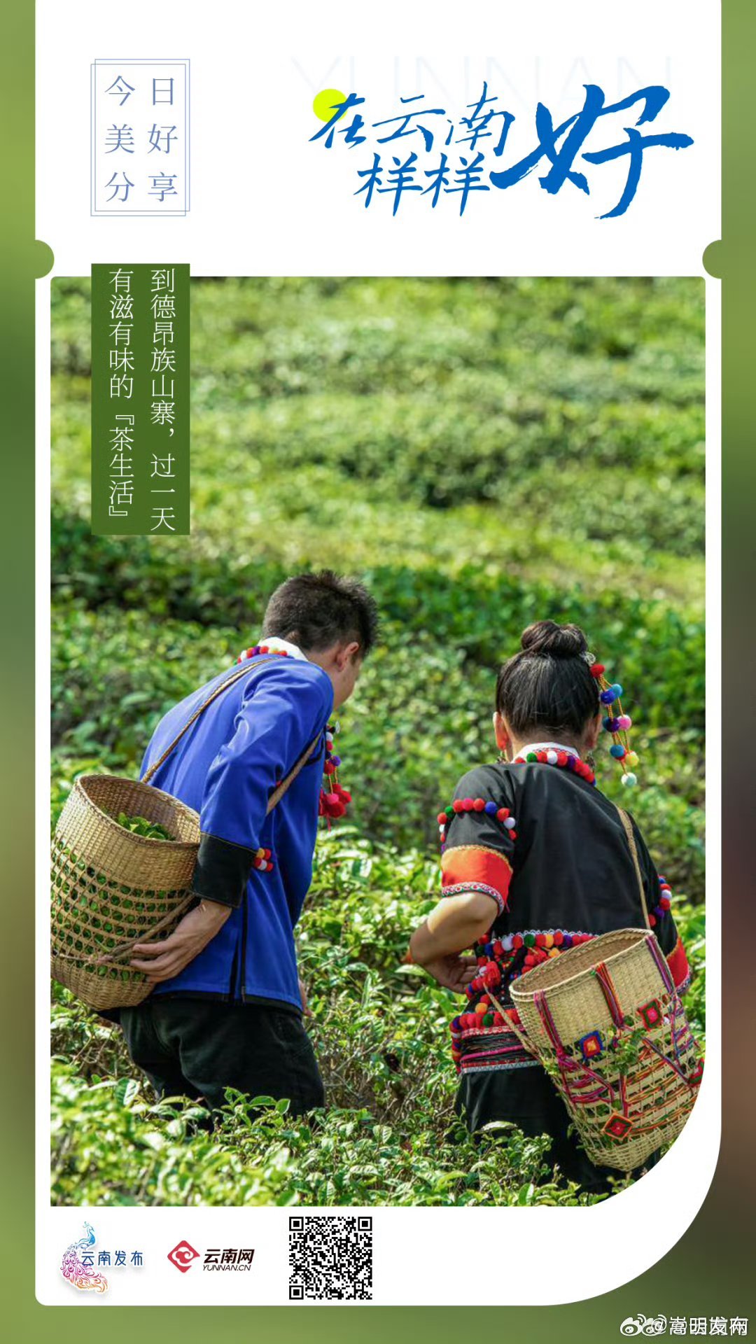 在云南样样好丨到德昂族山寨，过一天有滋有味的“茶生活”