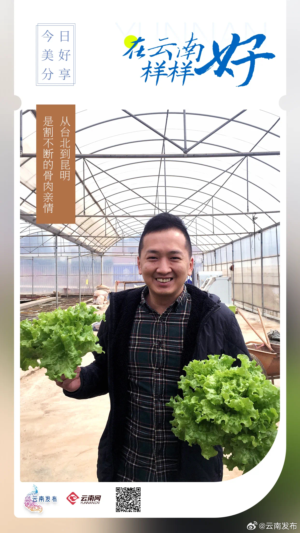 从台北到昆明，是割不断的骨肉亲情