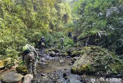 全国第二！云南完成森林样地调查