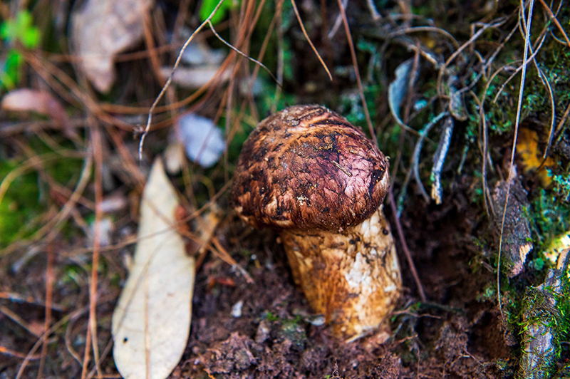 云南省文化和旅游厅