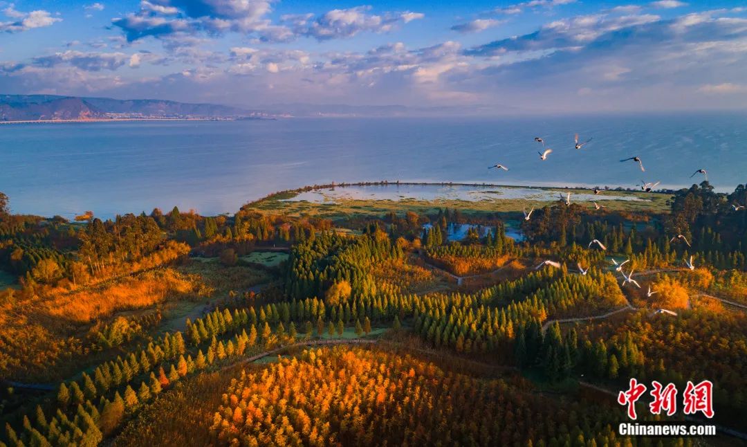 云南省文化和旅游厅