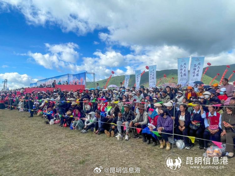 昆明信息港微博