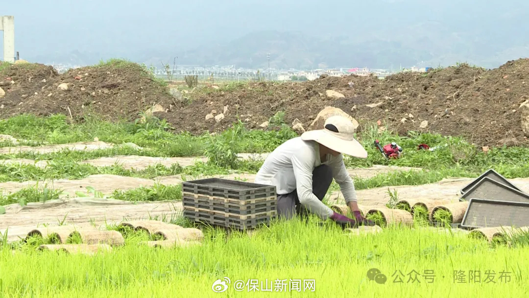 保山新闻网