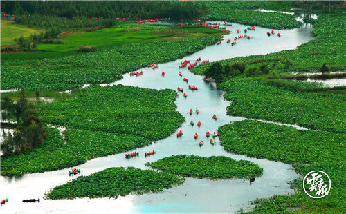 云南省文化和旅游厅