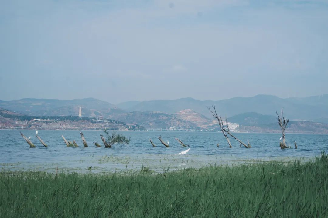 云南省文化和旅游厅