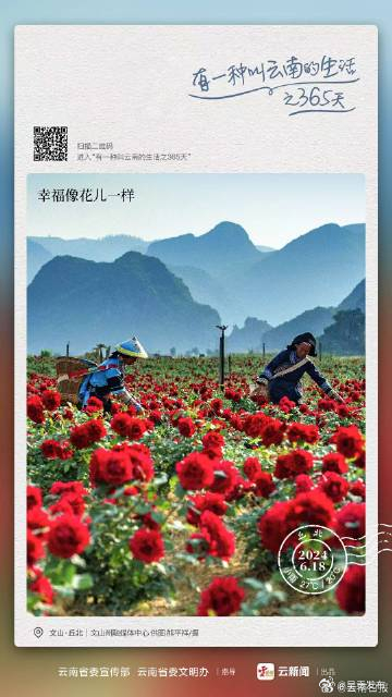 吃花，云南是认真的——有一种叫云南的生活之365天