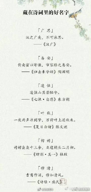 昆明市西山区发布