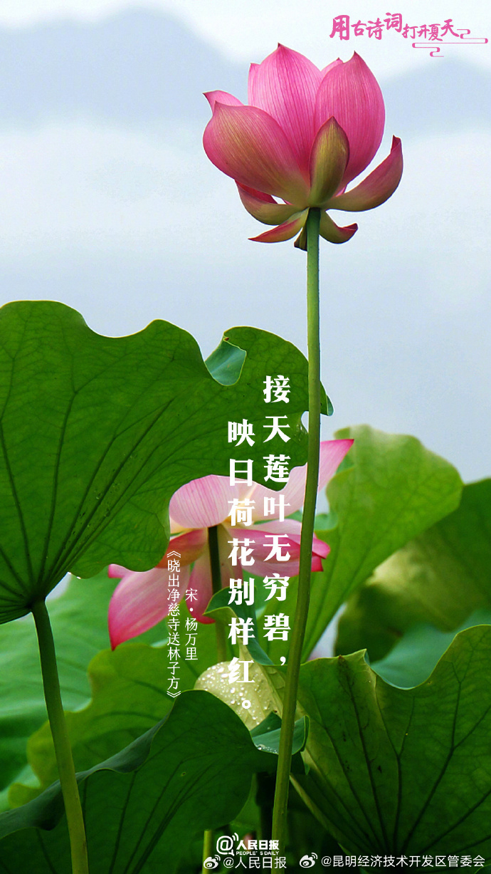 昆明经济技术开发区管委会