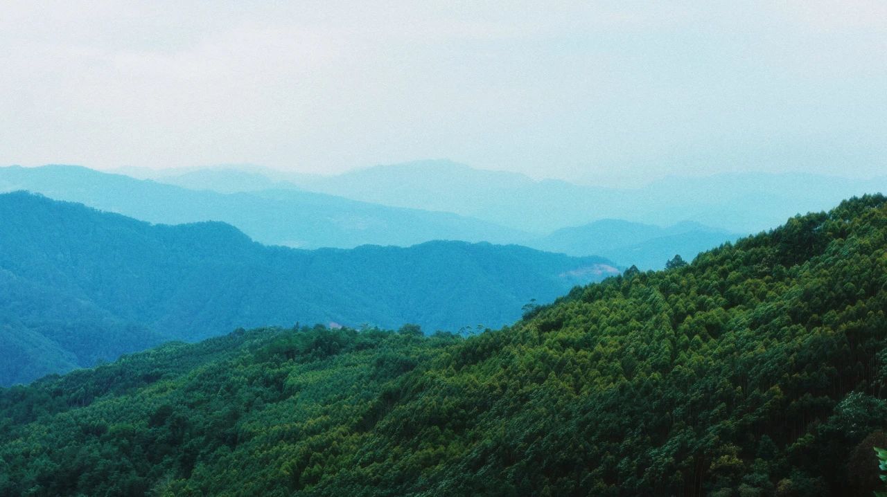 云南省文化和旅游厅