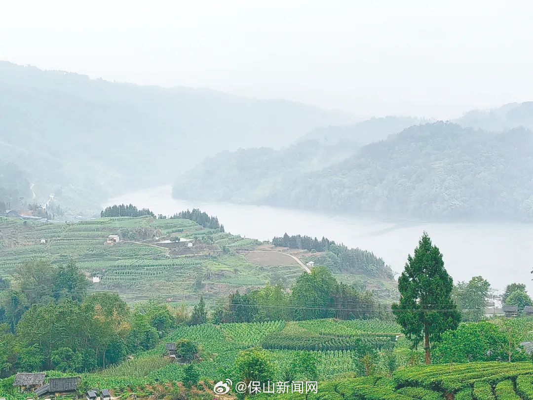 保山新闻网