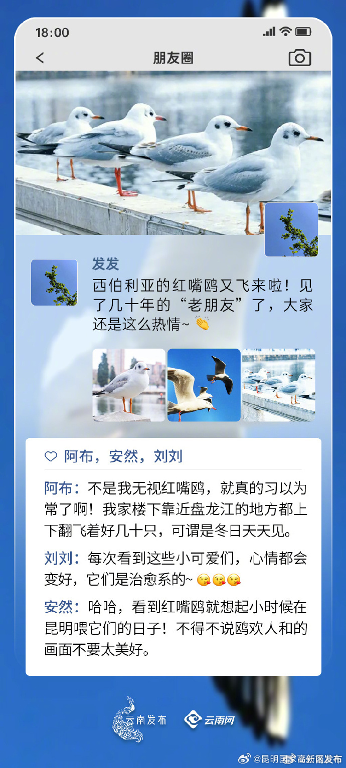 昆明国家高新区发布