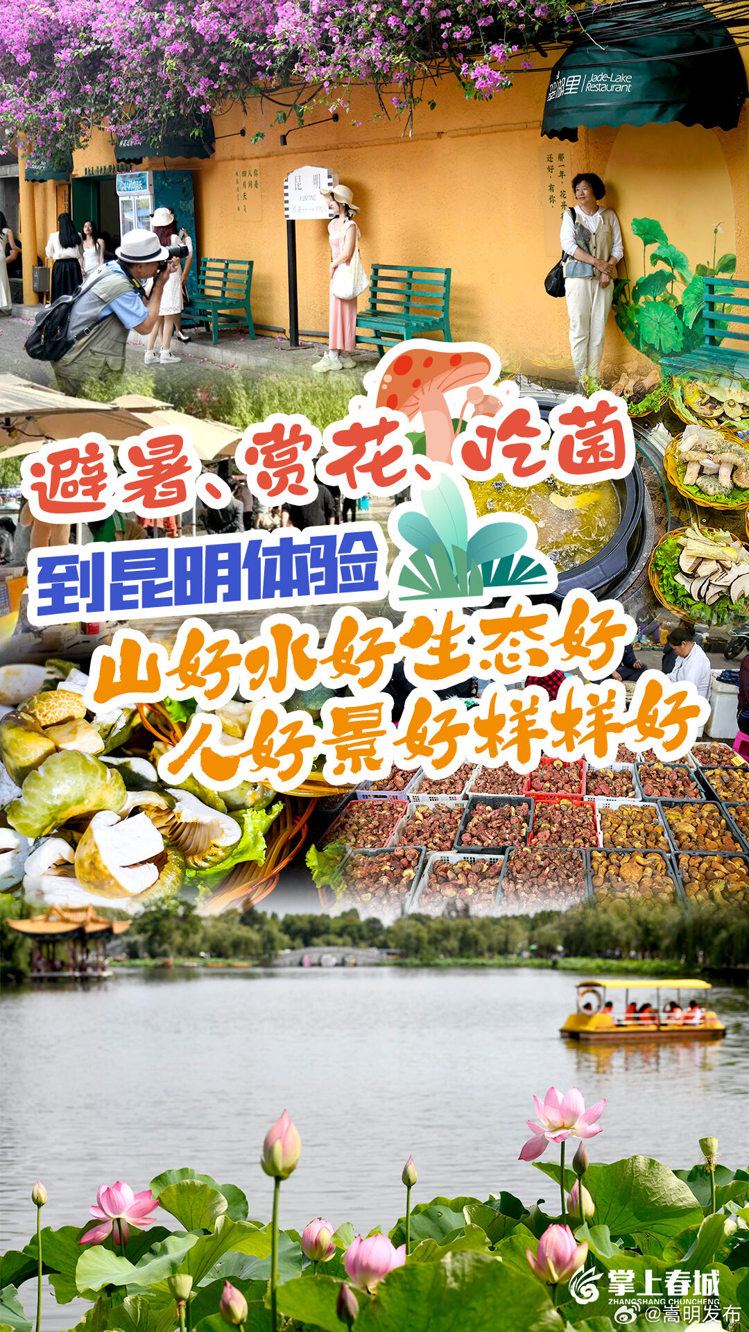 赏花、避暑、食菌……没有人能拒绝昆明24°C的夏天！