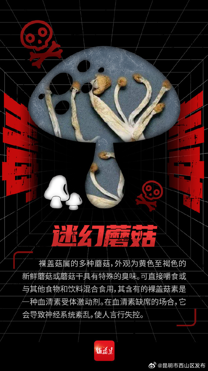 昆明市西山区发布