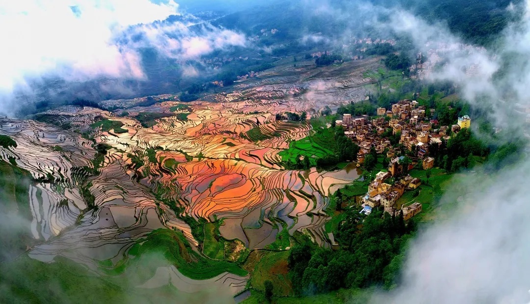 云南省文化和旅游厅