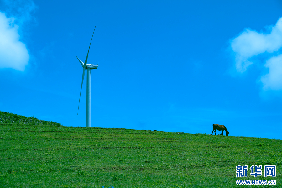 云南省文化和旅游厅