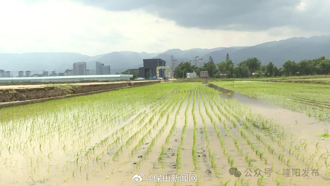 保山新闻网