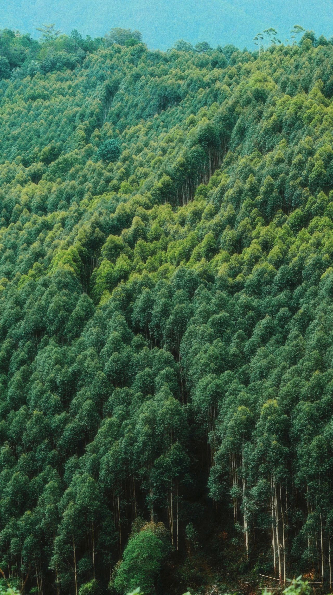 云南省文化和旅游厅
