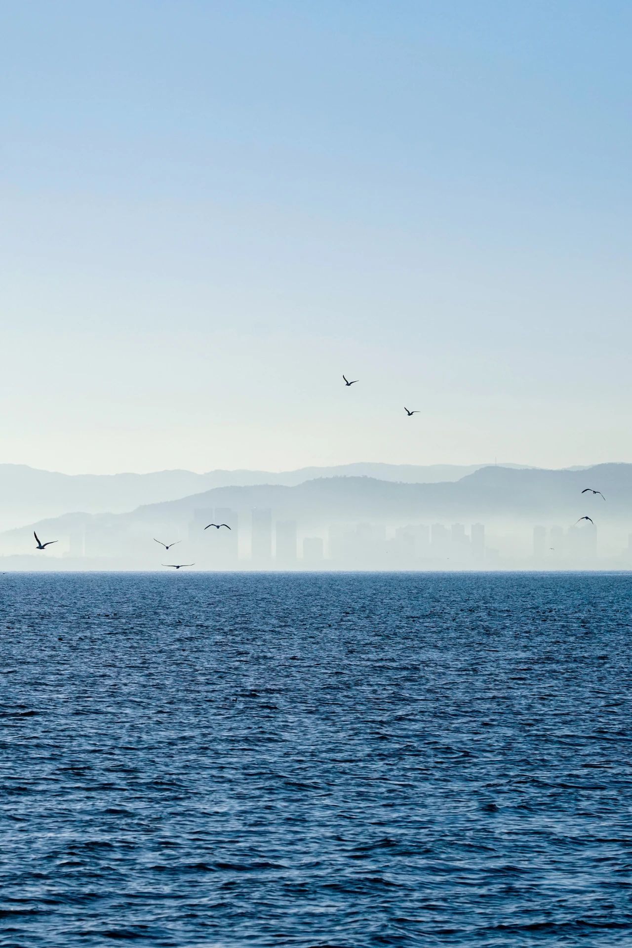 云南省文化和旅游厅
