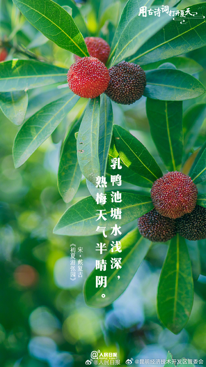 昆明经济技术开发区管委会