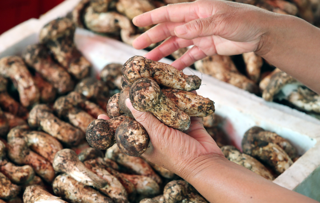 云南省文化和旅游厅