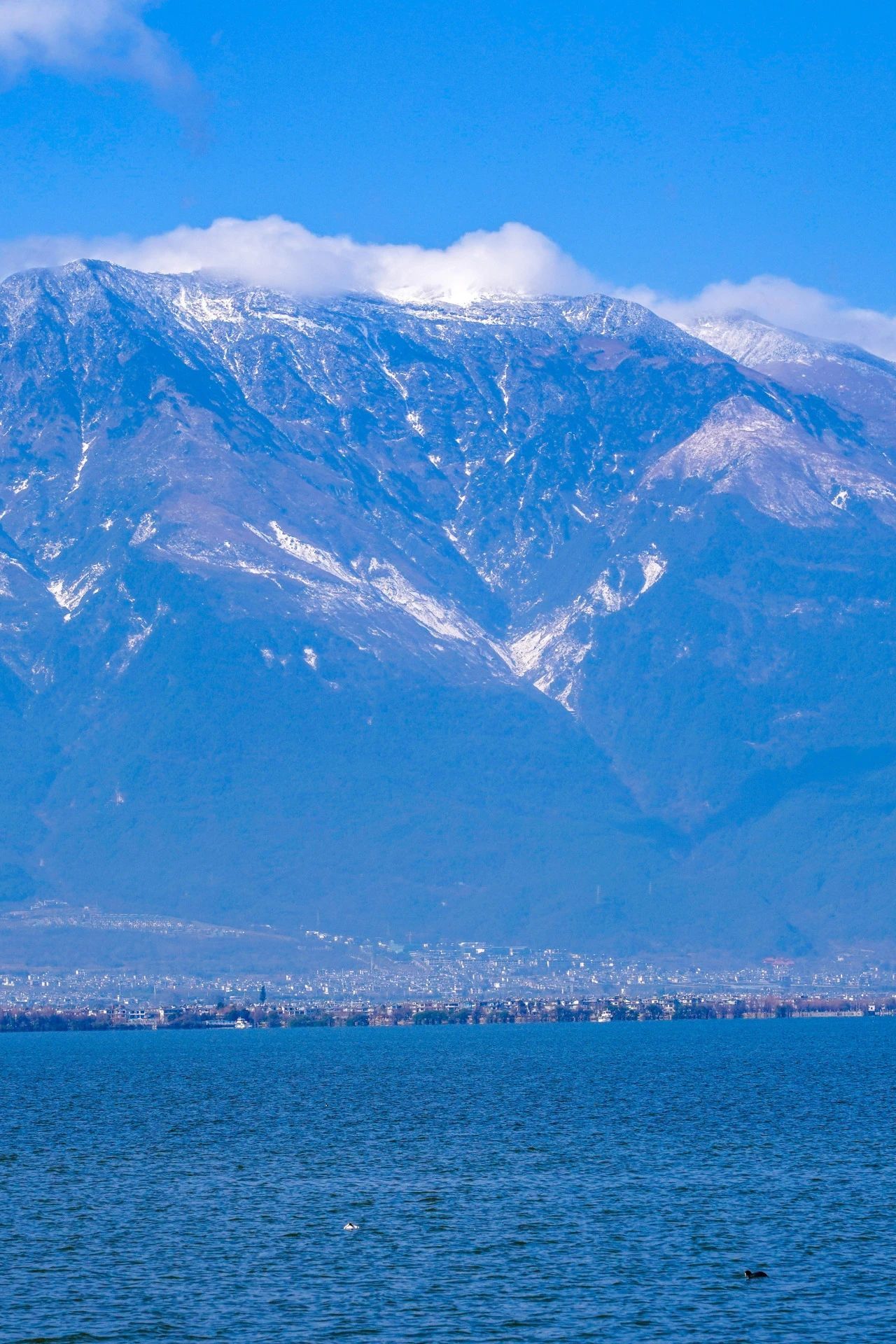 云南省文化和旅游厅