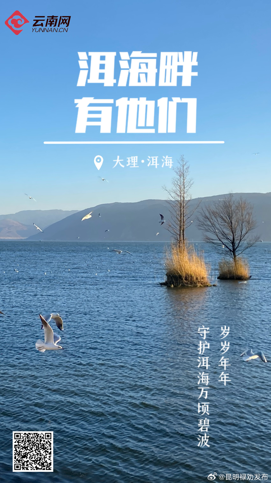 洱海畔 有群守护这捧碧波的人