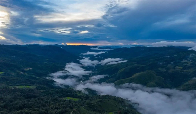 云南省文化和旅游厅