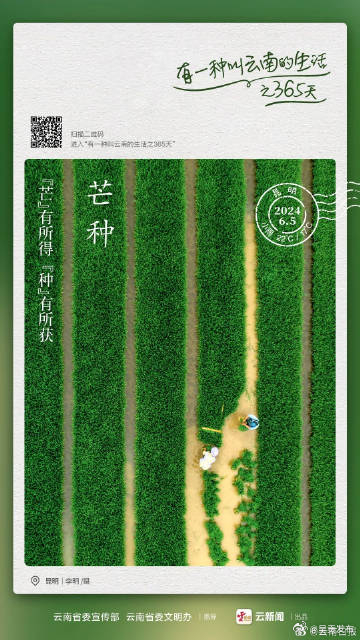 芒种过后 耕耘不止——有一种叫云南的生活之365天
