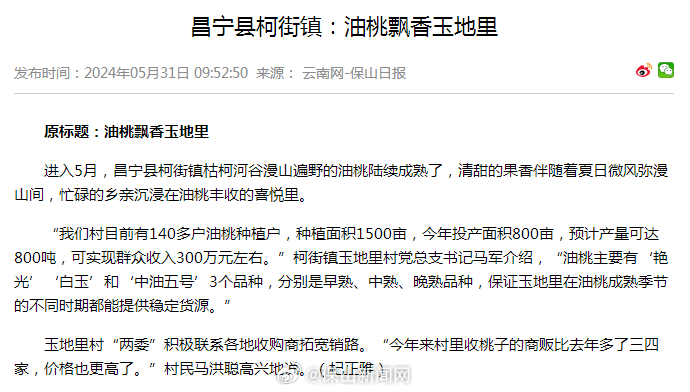 昌宁县柯街镇：油桃飘香玉地里