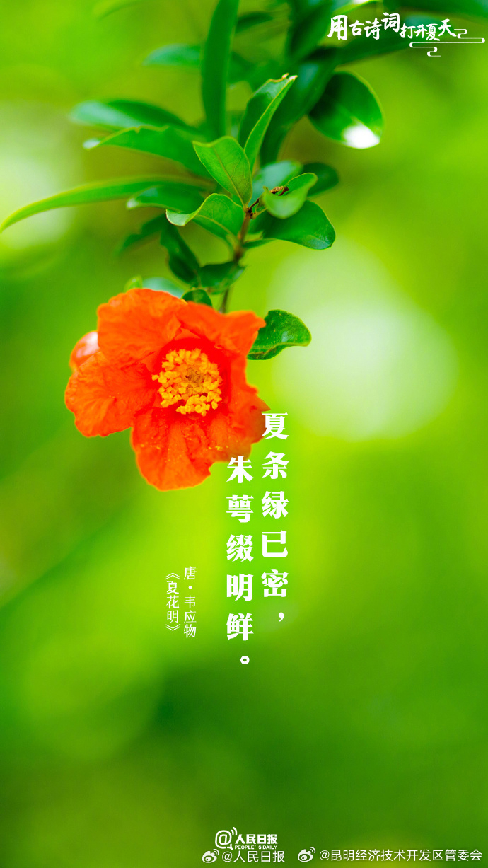 昆明经济技术开发区管委会