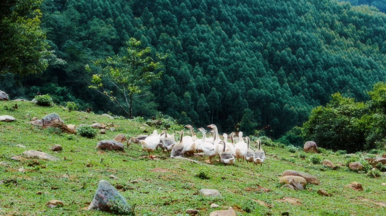 云南省文化和旅游厅