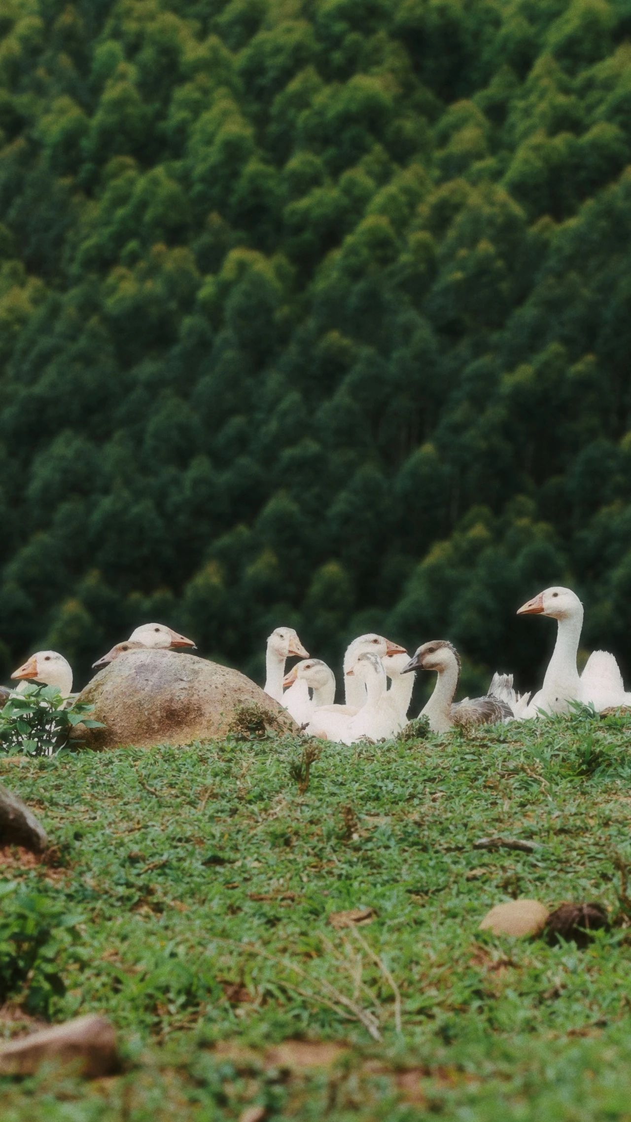 云南省文化和旅游厅