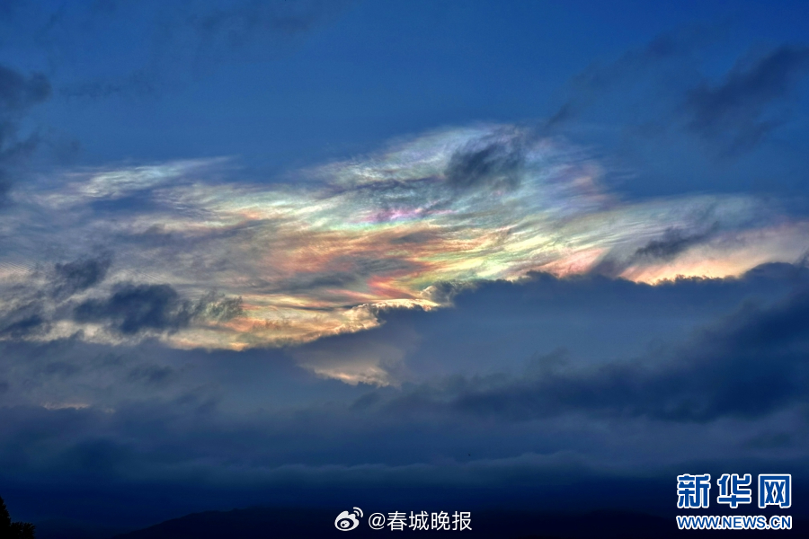 春城晚报