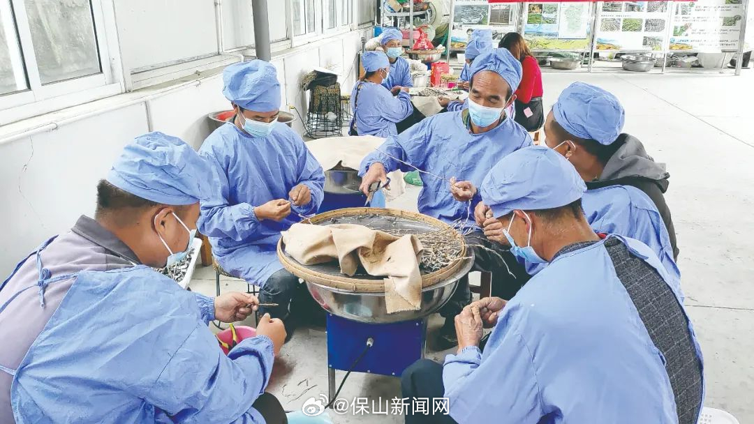 保山新闻网